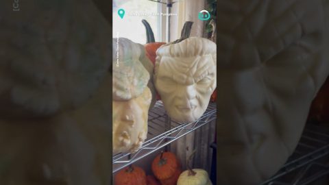 Monster Faced Pumpkins || ViralHog