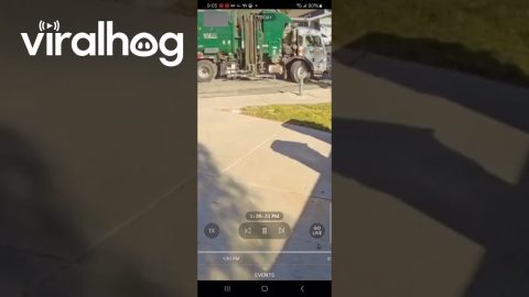 Garbage Truck Recycles The Whole Bin || ViralHog