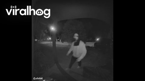 Ding Dong Ditching Keeps Going Wrong || ViralHog