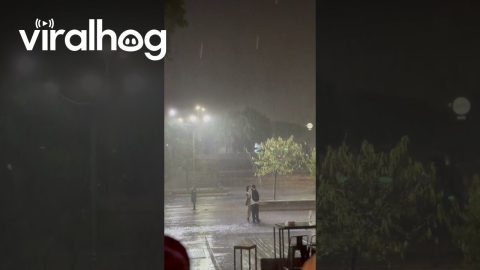 Lovers Kiss In Pouring Rain || ViralHog
