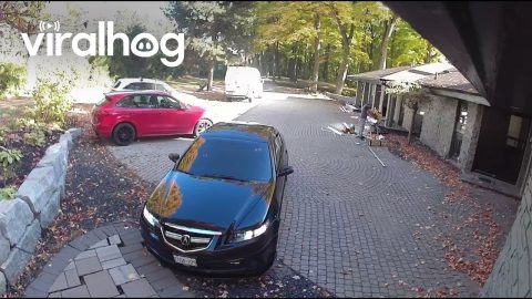 Car's Front Splitter Catches Paving Stones || ViralHog