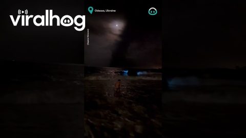 Sea Waves Glow || ViralHog