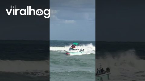 Dive Boat Nearly Capsizes In Rough Waves || ViralHog