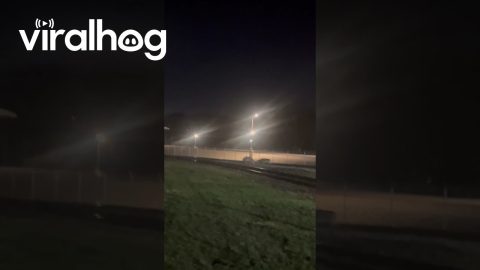 Bucks Battle Near Factory in Pittsburgh || ViralHog