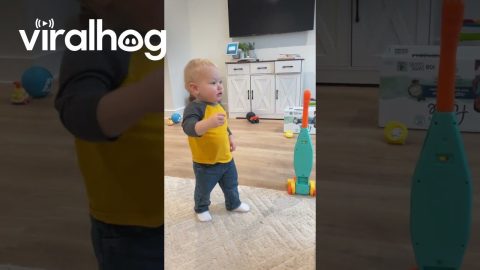 Toddler Pretends to Be Hurt So He Can Get Kisses From Dog || ViralHog