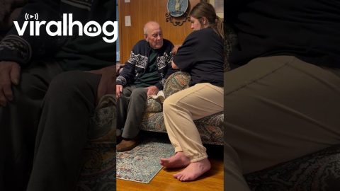 Man With Dementia Meets His Great Granddaughter || ViralHog