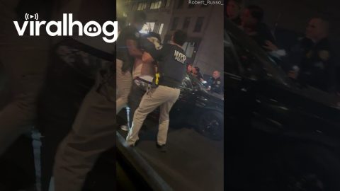 Driver Eludes Police During Traffic Stop in Manhattan || ViralHog
