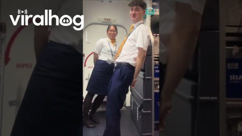 Flight Attendant BTS || ViralHog