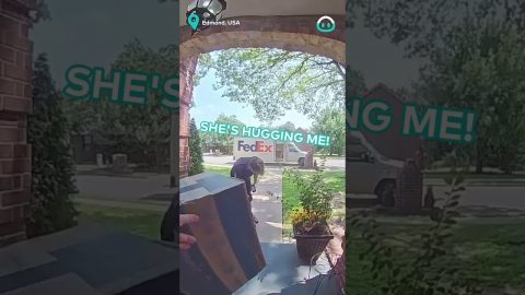 Dog Hugs Delivery Man || ViralHog