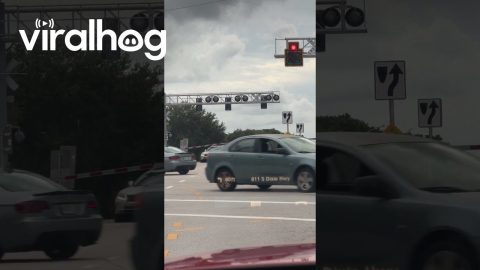 People Help Driver Stuck on Train Tracks || ViralHog