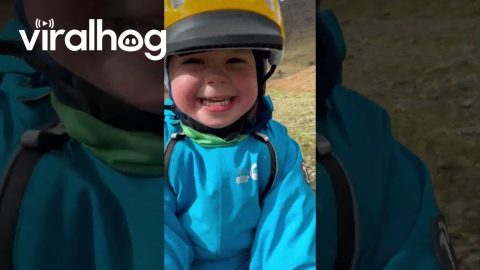 Outdoor Adventures in a Unique One-Wheeled Stroller || ViralHog