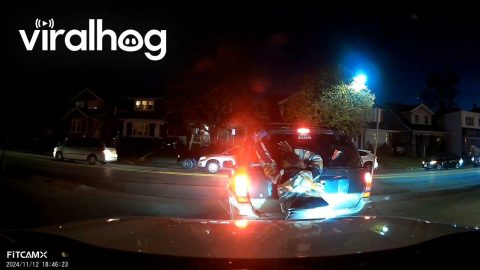 Stranger Stops To Twerk On Car || ViralHog
