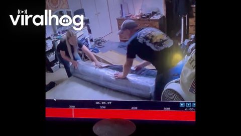 When Unboxing a Vacuum-Sealed Mattress Backfires || ViralHog