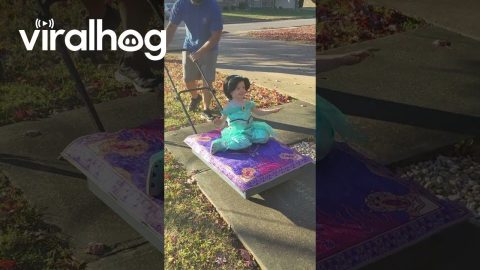 Trick-or-Treating Via Magic Carpet Ride || ViralHog