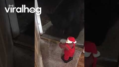 Santa Sings And Dances For Black Bear || ViralHog