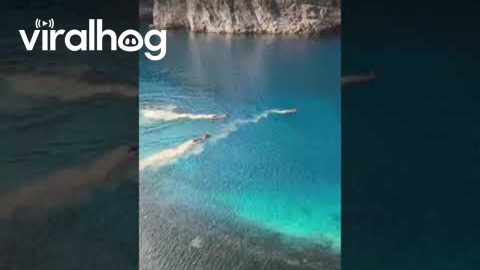 Deer Swim In San Domenico Lake || ViralHog