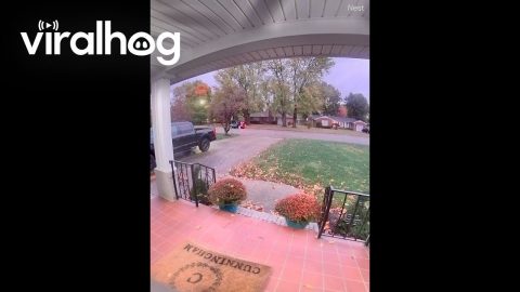 Guy Steals Bowl of Halloween Candy Off Porch || ViralHog