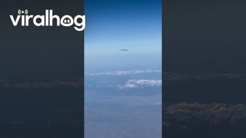 Strange Flying Blur Spotted Through Airplane Window || ViralHog