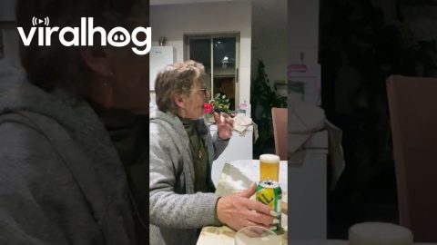 Grandma Takes Her Daily Pills With Beer || ViralHog