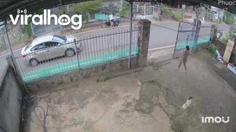 Motorbike Revs Through Gate And Across Street || ViralHog