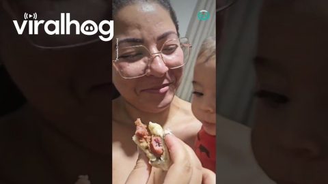 Baby Eyes up Mom's Sandwich || ViralHog