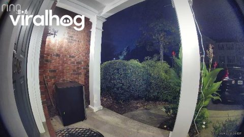 Apparent Candy Thief Steals Trick-or-Treaters' Bowl on Halloween || ViralHog
