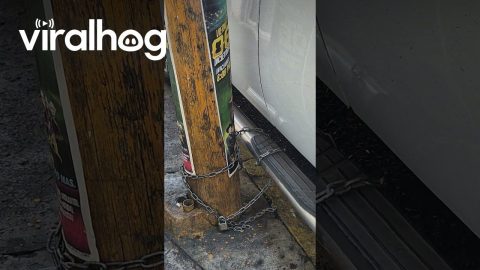 Truck Chained To Pole || ViralHog