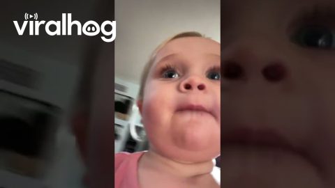 When the Toddler Hears It's Snack Time || ViralHog