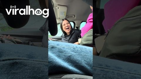 Best Friends Find Out They're Both Pregnant || ViralHog