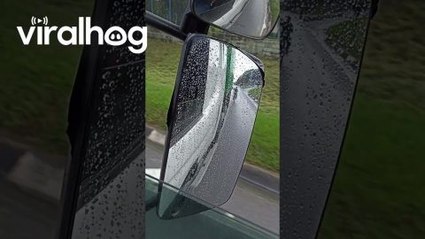 Skitching Cyclist Experiences the Consequences of His Own Actions || ViralHog