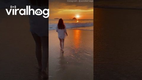 Guy Accidentally Photobombs Beautiful Beach Video || ViralHog
