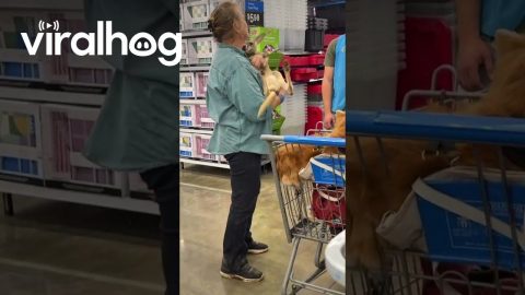Woman Brings Her Pet Kangaroo to Walmart || ViralHog