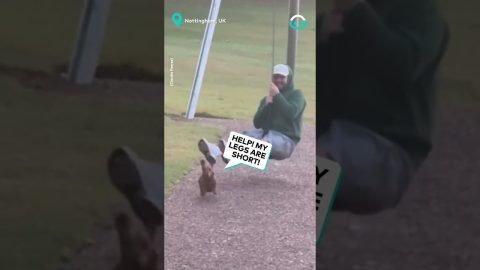 Brave Wiener Dog Gets Surprise || ViralHog