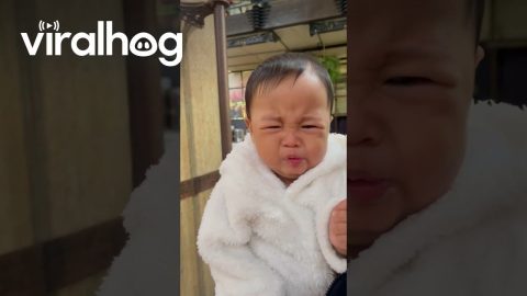 First Taste of Lemon