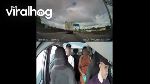 Quick-Thinking Uber Driver Avoids Being Crushed Between Trucks || ViralHog
