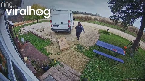 Delivery Driver Smashes And Kicks Package || ViralHog