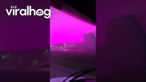 Morning Drive Under Eerie Magenta Sky || ViralHog