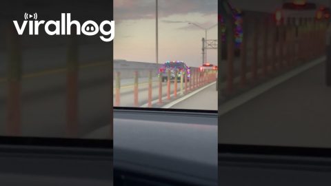 Car Covered in Christmas Lights || ViralHog