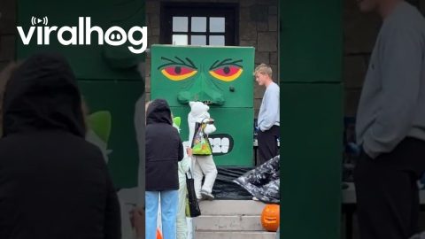 When You Get a Trick, Not a Treat || ViralHog