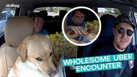 The Most Wholesome Uber Encounter || ViralHog