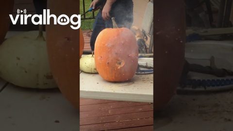 Firecracker Pumpkin Carving || ViralHog