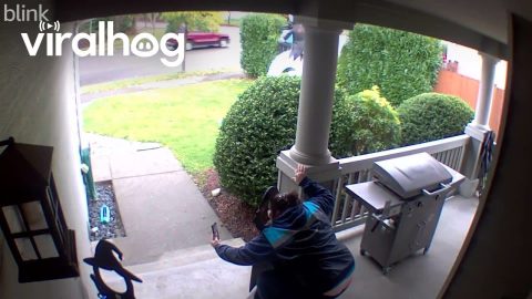 Amazon Driver Takes Selfie With Halloween Decorations || ViralHog