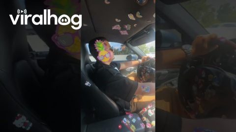 Sticker Frenzy Covers Boyfriend and His Car || ViralHog