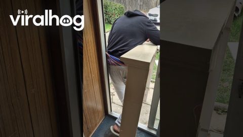 Man Trapped By Doorway Wedgie || ViralHog