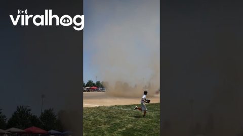 Dust Devil Takes Over Baseball Field || ViralHog