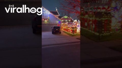 Neighbor's Overcompensating Christmas Lights || ViralHog