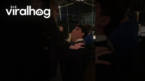 Long-Distance Best Friends Reunited At Dinner Party || ViralHog