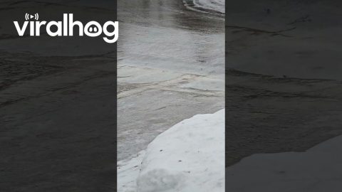 Winter Turns Town Into Icy Skating Rink || ViralHog
