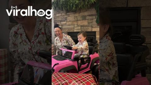 Junior Bronco Driver Finds Horn || ViralHog
