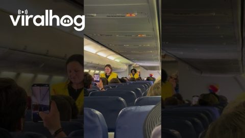 Flight Attendant Sings Plane Instructions To Ice Ice Baby Tune || ViralHog